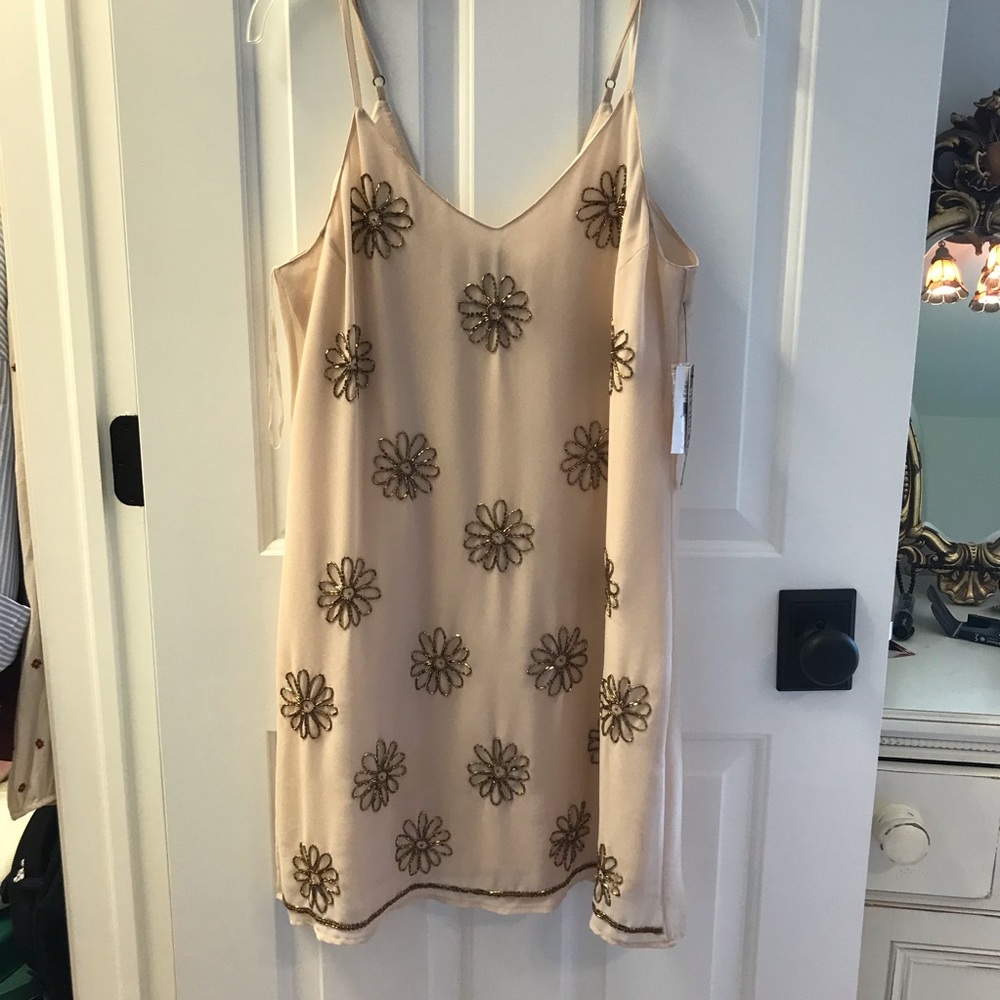 Light Pink Dress with gold accents